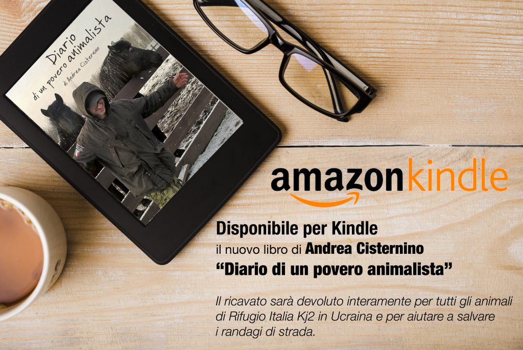 kindle amazon Andrea