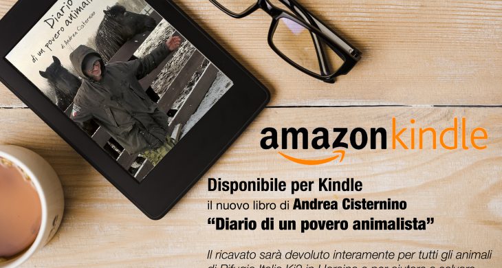 kindle amazon Andrea