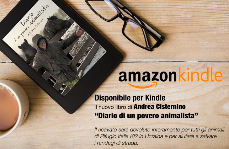 kindle amazon Andrea