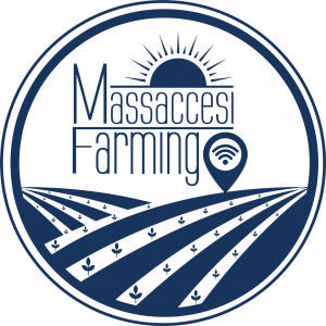 logo massaccesi 534C 2