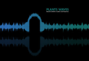 cover plantswaves